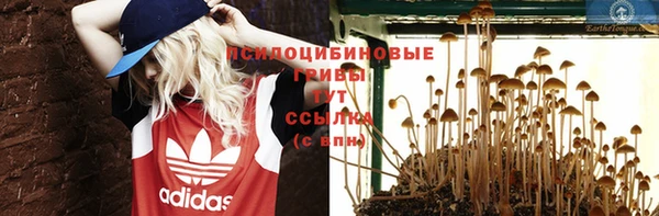 гидропоника Баксан