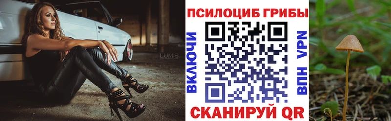 Псилоцибиновые грибы Magic Shrooms  Лениногорск 